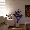 image:imageNearly Natural 3ft PreLit Artificial Halloween Black Eucalyptus Tree with 80 Orange amp Purple LED Lights