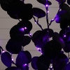 image:imageNearly Natural 3ft PreLit Artificial Halloween Black Eucalyptus Tree with 80 Orange amp Purple LED Lights