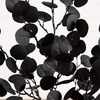 image:imageNearly Natural 3ft PreLit Artificial Halloween Black Eucalyptus Tree with 80 Orange amp Purple LED Lights