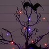 image:imageNearly Natural 3ft PreLit Halloween Black Spooky Twig Tree with Bats and 100 Orange amp Purple LED Lights