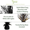 image:imageNearly Natural 3ft PreLit Halloween Black Twig Artificial Fall Tree in Burlap Planter with 52 Warm White LED Lights