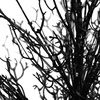 image:imageNearly Natural 3ft PreLit Halloween Black Twig Artificial Fall Tree in Burlap Planter with 52 Warm White LED Lights