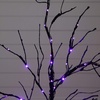 image:imageNearly Natural 3ft PreLit Halloween Black Twig Artificial Tree with 80 Orange amp Purple LED Lights