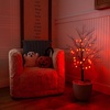 image:imageNearly Natural 3ft PreLit Halloween Black Twig Tree with 18 Orange LED Pumpkin Lights