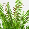 image:imageNearly Natural 3ft UV Resistant Artificial Boston Fern Potted Plant Real Touch Leaves Indoor Outdoor
