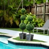 image:imageNearly Natural 3ft UV Resistant Artificial Double Ball Boxwood Topiary with LED Lights in Decorative Planter IndoorOutdoor