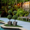 image:imageNearly Natural 3ft UV Resistant Artificial Double Ball Boxwood Topiary with LED Lights in Decorative Planter IndoorOutdoor
