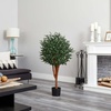 image:imageNearly Natural 4 Eucalyptus Artificial UV Resistant IndoorOutdoor Silk Trees Green 18x20x4 Ft