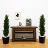 image:imageNearly Natural 4 ft Artificial Cedar Topiary UVResistant Set of 2