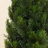 image:imageNearly Natural 4 ft Artificial Cedar Tree UVResistant Outdoor Plant
