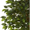 image:imageNearly Natural 4 ft Artificial Ficus Tree UVResistant Outdoor Porch Decor