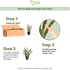 image:imageNearly Natural 4 ft Artificial Spiked Agave Plant with Nursery Pot