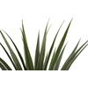 image:imageNearly Natural 4 ft Artificial Spiked Agave Plant with Nursery Pot
