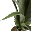 image:imageNearly Natural 4 ft Artificial Spiked Agave Plant with Nursery Pot