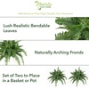 image:imageNearly Natural 40 in Artificial Boston Fern Indoor Plant Set of 240 In W x 15 In H