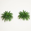 image:imageNearly Natural 40 in Artificial Boston Fern Indoor Plant Set of 240 In W x 15 In H