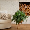 image:imageNearly Natural 40 in Artificial Boston Fern Indoor Plant Set of 240 In W x 15 In H