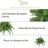 image:imageNearly Natural 40 in Artificial Boston Fern Indoor Plant Set of 240 In W x 15 In H