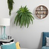 image:imageNearly Natural 40 in Artificial Boston Fern Indoor Plant Set of 240 In W x 35 In H