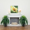 image:imageNearly Natural 40 in Artificial Boston Fern Indoor Plant Set of 240 In W x 35 In H