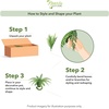 image:imageNearly Natural 40 in Artificial Boston Fern Indoor Plant Set of 240 In W x 35 In H