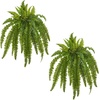 image:imageNearly Natural 40 in Artificial Boston Fern Indoor Plant Set of 240 In W x 35 In H