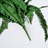 image:imageNearly Natural 40 in Artificial Boston Fern Indoor Plant Set of 248 In W x 21 In H