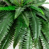 image:imageNearly Natural 40 in Artificial Boston Fern Indoor Plant Set of 248 In W x 21 In H