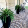 image:imageNearly Natural 40 in Artificial Boston Fern Indoor Plant Set of 248 In W x 21 In H