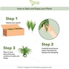 image:imageNearly Natural 40 in Artificial Boston Fern Indoor Plant Set of 248 In W x 21 In H
