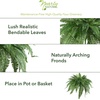 image:imageNearly Natural 40 in Artificial Boston Fern Indoor Plant Set of 248 In W x 21 In H