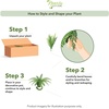 image:imageNearly Natural 40 in Artificial Boston Fern Indoor Plant Set of 248 In W x 21 In H