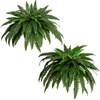 image:imageNearly Natural 40 in Artificial Boston Fern Indoor Plant Set of 248 In W x 21 In H