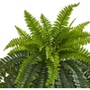 image:imageNearly Natural 40 in Artificial Boston Fern Indoor Plant Set of 248 In W x 46 In H