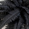 image:imageNearly Natural 40in Artificial Black Boston Fern Halloween Decor  Set of 2
