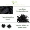 image:imageNearly Natural 40in Artificial Black Boston Fern Halloween Decor  Set of 2