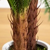 image:imageNearly Natural 40in UV Resistant Artificial Double Cycas Palm Tree in White Planter