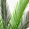 image:imageNearly Natural 40in UV Resistant Artificial Double Cycas Palm Tree in White Planter