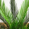 image:imageNearly Natural 40in UV Resistant Artificial Double Cycas Palm Tree in White Planter