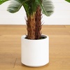image:imageNearly Natural 40in UV Resistant Artificial Double Cycas Palm Tree in White Planter
