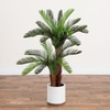 image:imageNearly Natural 40in UV Resistant Artificial Double Cycas Palm Tree in White Planter
