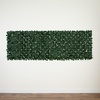 image:imageNearly Natural 40in x 120in Artificial Ivy Privacy Fence Wall Screen  UV Resistant WearResistant Greenery for Indoor and Outdoor Use  Ideal for Balcony Patio Garden Fencing  Easy Installation
