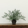 image:imageNearly Natural 4251 Maiden Hair Artificial Plant in Planter Green Small