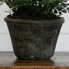 image:imageNearly Natural 4251 Maiden Hair Artificial Plant in Planter Green Small