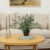 image:imageNearly Natural 4251 Maiden Hair Artificial Plant in Planter Green Small