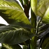 image:imageNearly Natural 45 in Artificial Golden Dieffenbachia with Decorative Pot