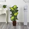 image:imageNearly Natural 45 in Artificial Golden Dieffenbachia with Decorative Pot