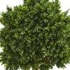 image:imageNearly Natural 46in UV Resistant Outdoor Artificial Boxwood Topiary Tree With Planter Potted Realistic Faux Topiary Ball Shrub For Patio Deck Balcony Indoor Front Porch Decor