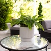 image:imageNearly Natural 48 in Artificial Boston Fern Set of 2 Outdoor Porch DecorGreen