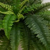 image:imageNearly Natural 48 in Artificial Boston Fern Set of 2 Outdoor Porch DecorGreen